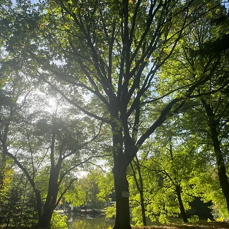 Ferienwohung Kaminzimmer *