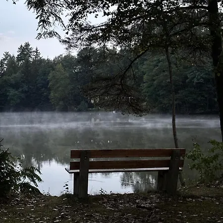 Ferienwohung Kaminzimmer *